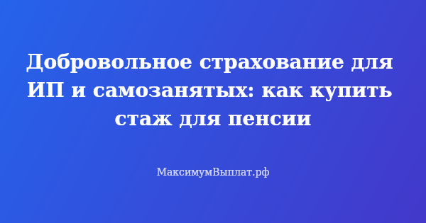 Превью статьи «Добровольное страхование для ИП и самозанятых: как купить стаж для пенсии»
