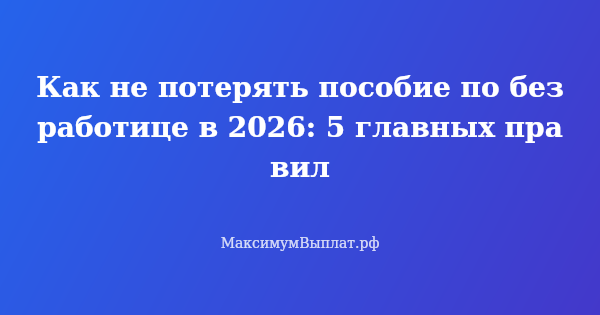 Превью статьи «Как не потерять пособие по безработице в 2026: 5 главных правил»