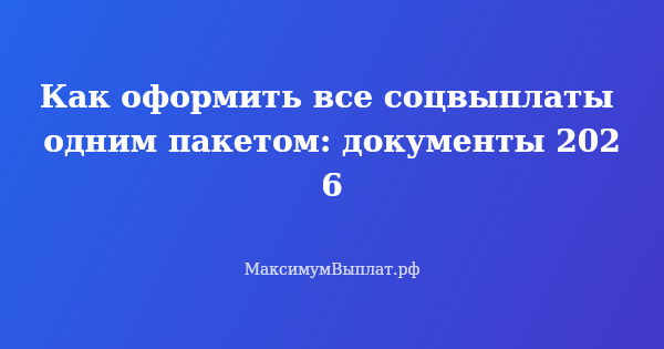 Превью статьи «Как оформить все соцвыплаты одним пакетом: документы 2026»
