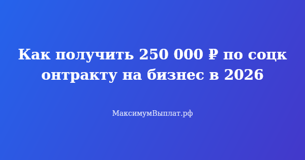 Превью статьи «Как получить 250 000 ₽ по соцконтракту на бизнес в 2026»