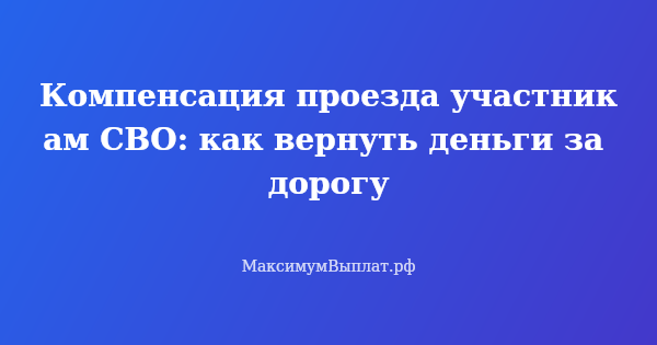 Превью статьи «Компенсация проезда участникам СВО: как вернуть деньги за дорогу»