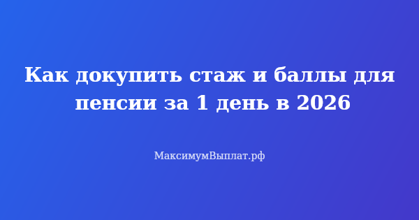 Превью статьи «Как докупить стаж и баллы для пенсии за 1 день в 2026»