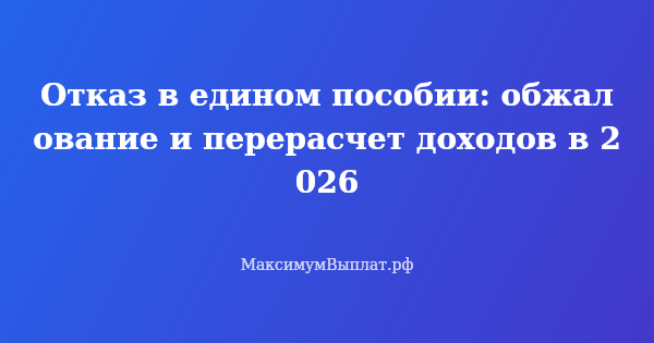 Превью статьи «Отказ в едином пособии: обжалование и перерасчет доходов в 2026»
