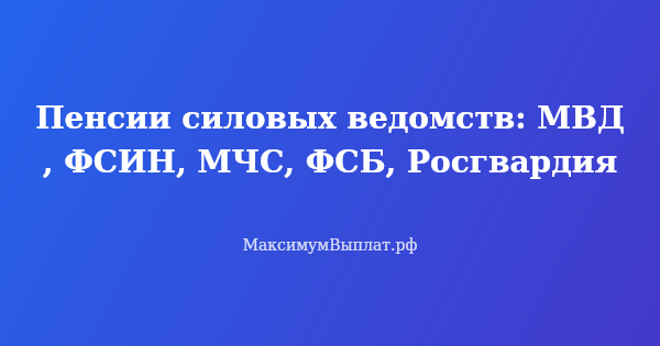Превью статьи «Пенсии силовых ведомств: МВД, ФСИН, МЧС, ФСБ, Росгвардия»