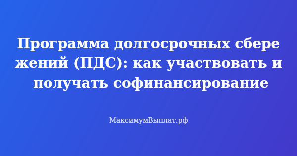 Превью статьи «Программа долгосрочных сбережений (ПДС): как участвовать и получать софинансирование»
