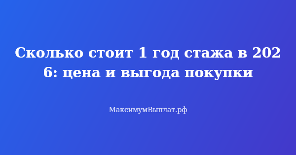 Превью статьи «Сколько стоит 1 год стажа в 2026: цена и выгода покупки»