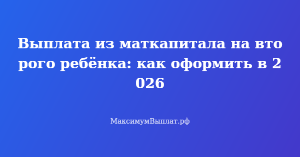 Превью статьи «Выплата из маткапитала на второго ребёнка: как оформить в 2026»